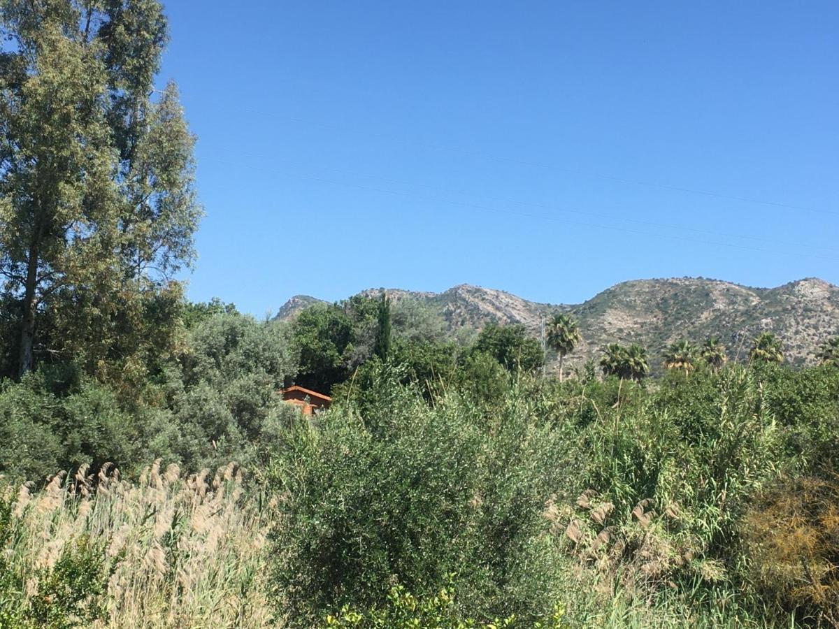 Finca Fahala Cartama Bagian luar foto