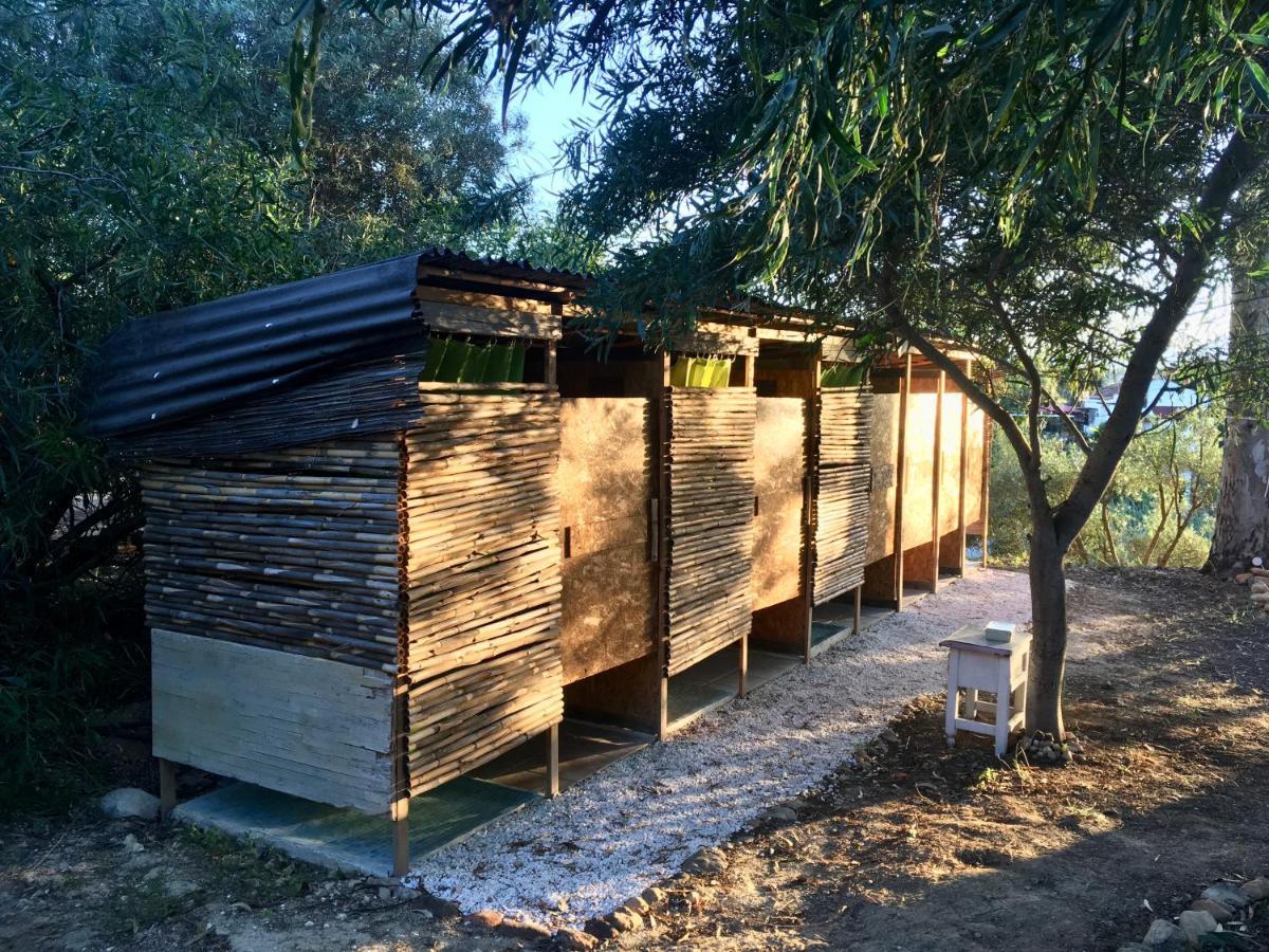 Finca Fahala Cartama Bagian luar foto