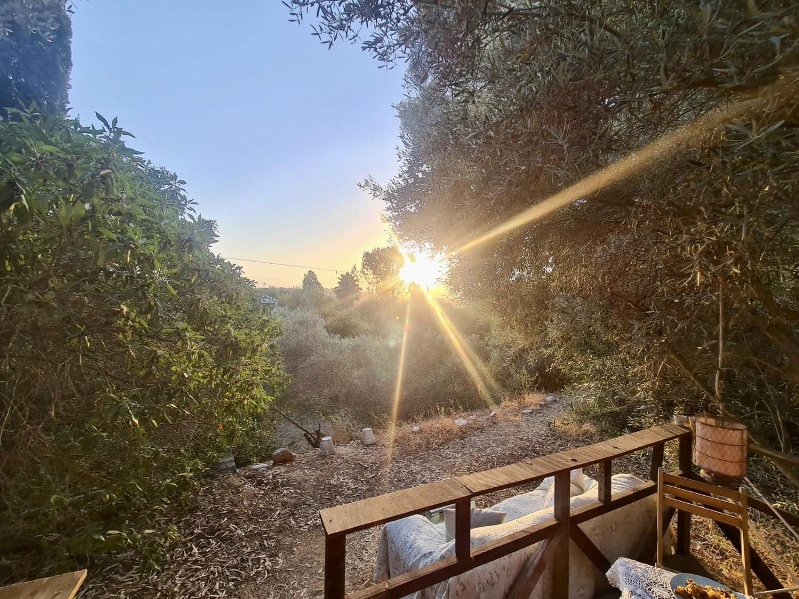 Finca Fahala Cartama Bagian luar foto
