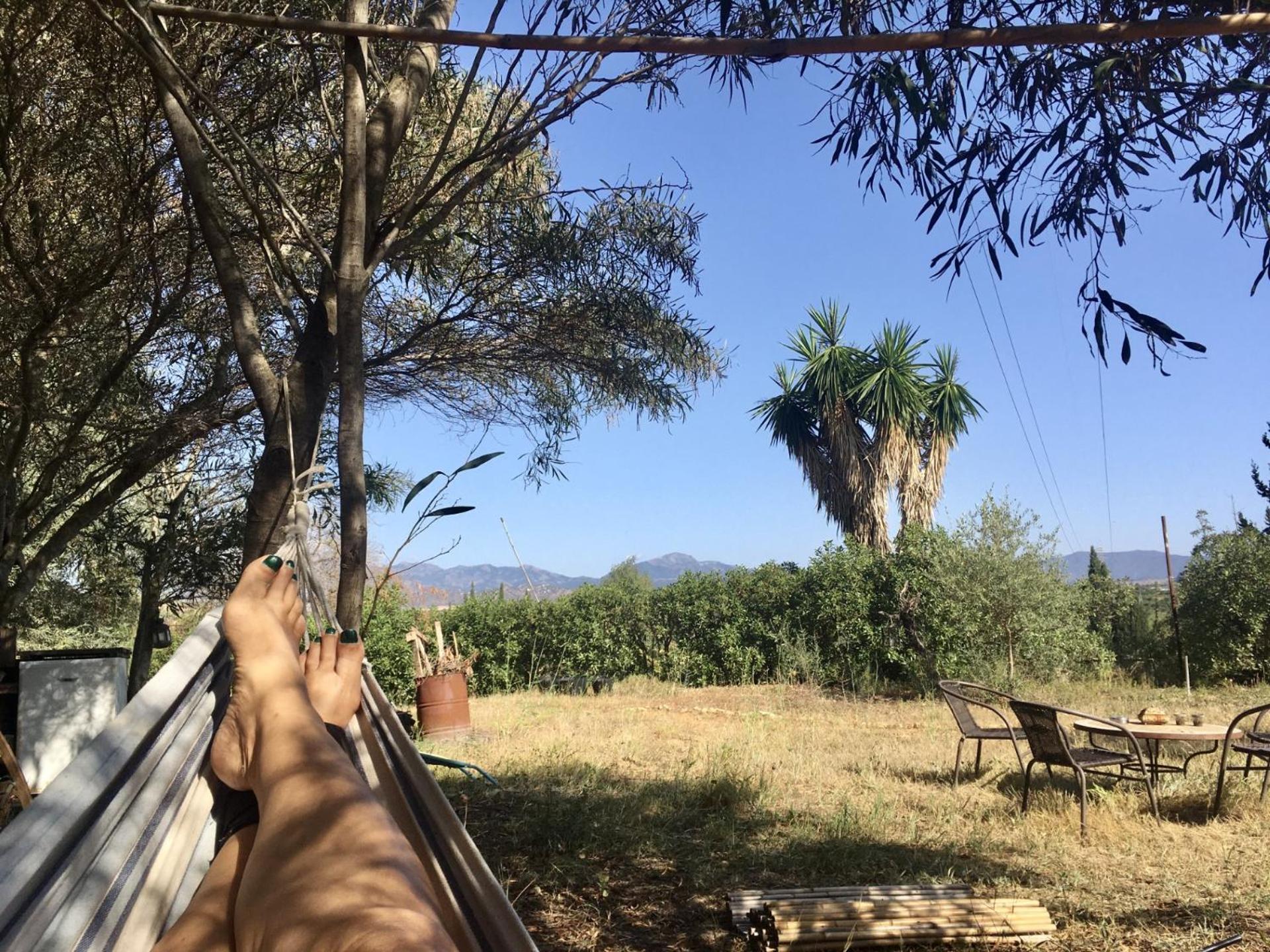 Finca Fahala Cartama Bagian luar foto